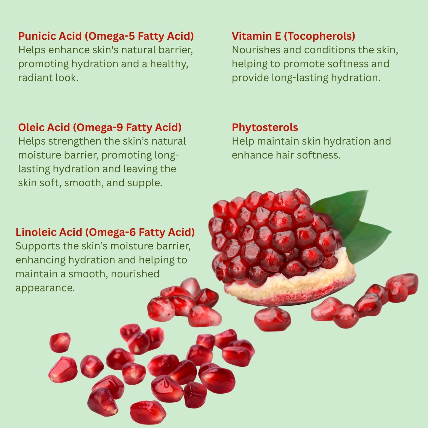 Pomegranate Oil (organic, cold pressed, unrefined) - Trending Products