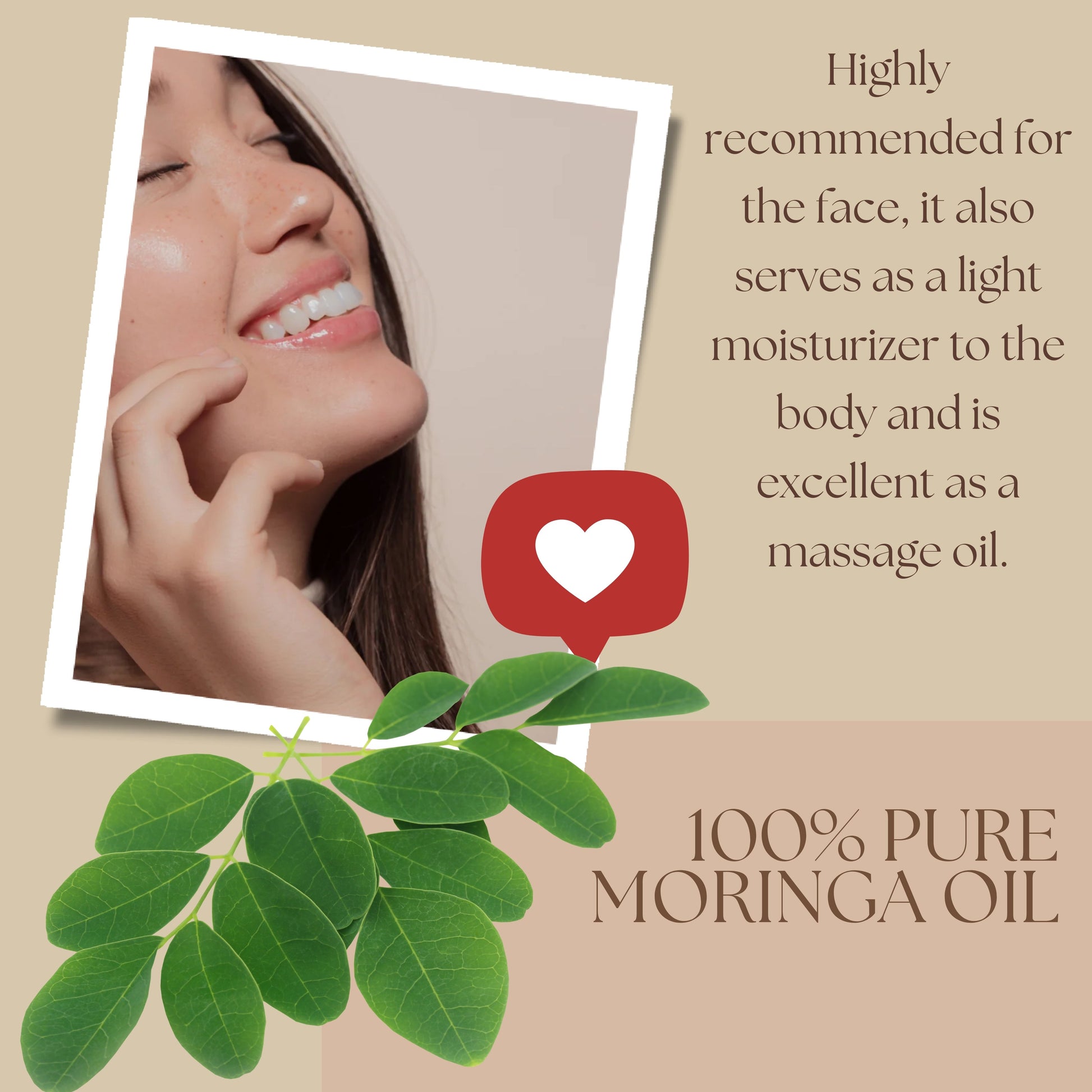 Moringa Seed Oil (organic, cold pressed, unrefined) - Trending Products 