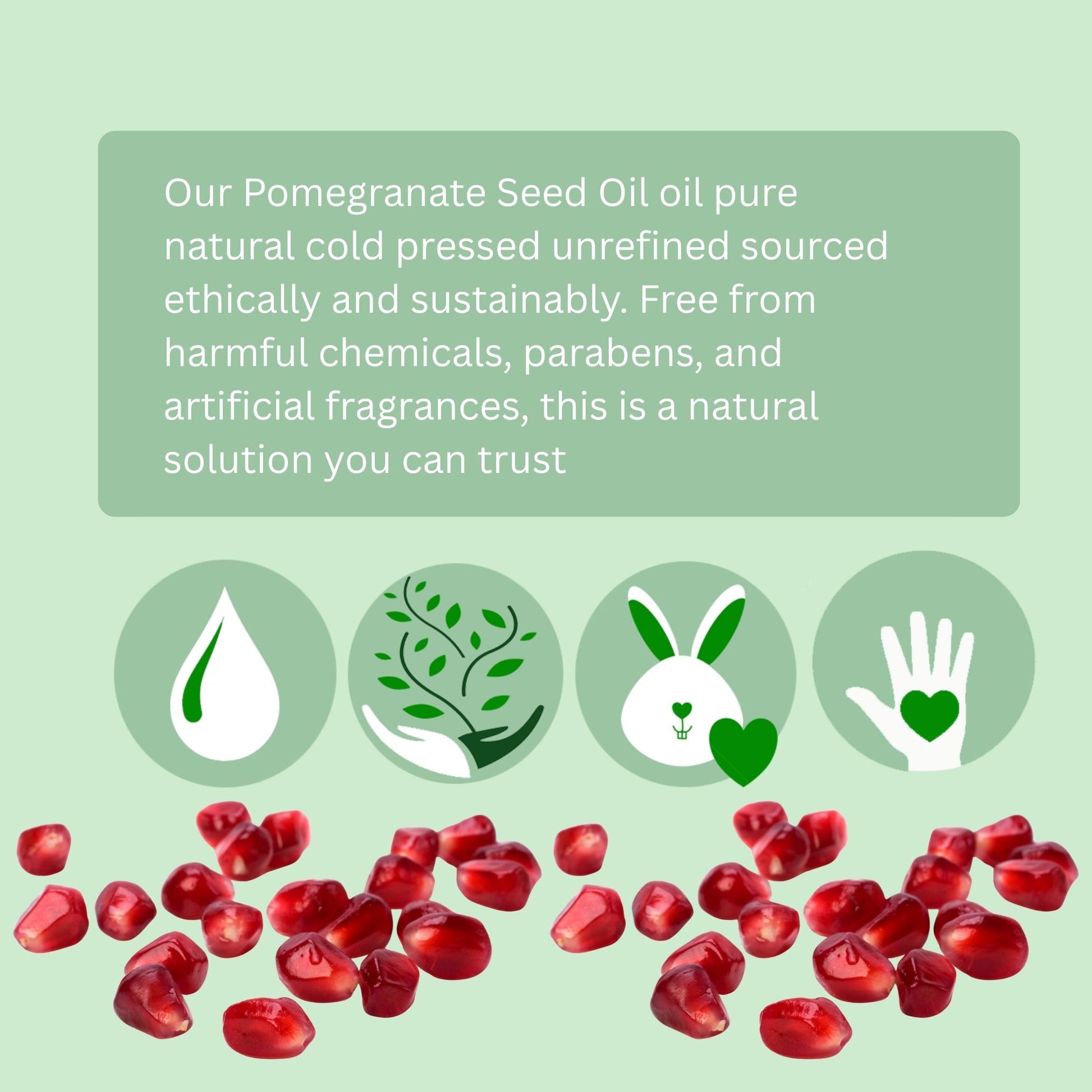 Pomegranate Oil (organic, cold pressed, unrefined) - Trending Products 