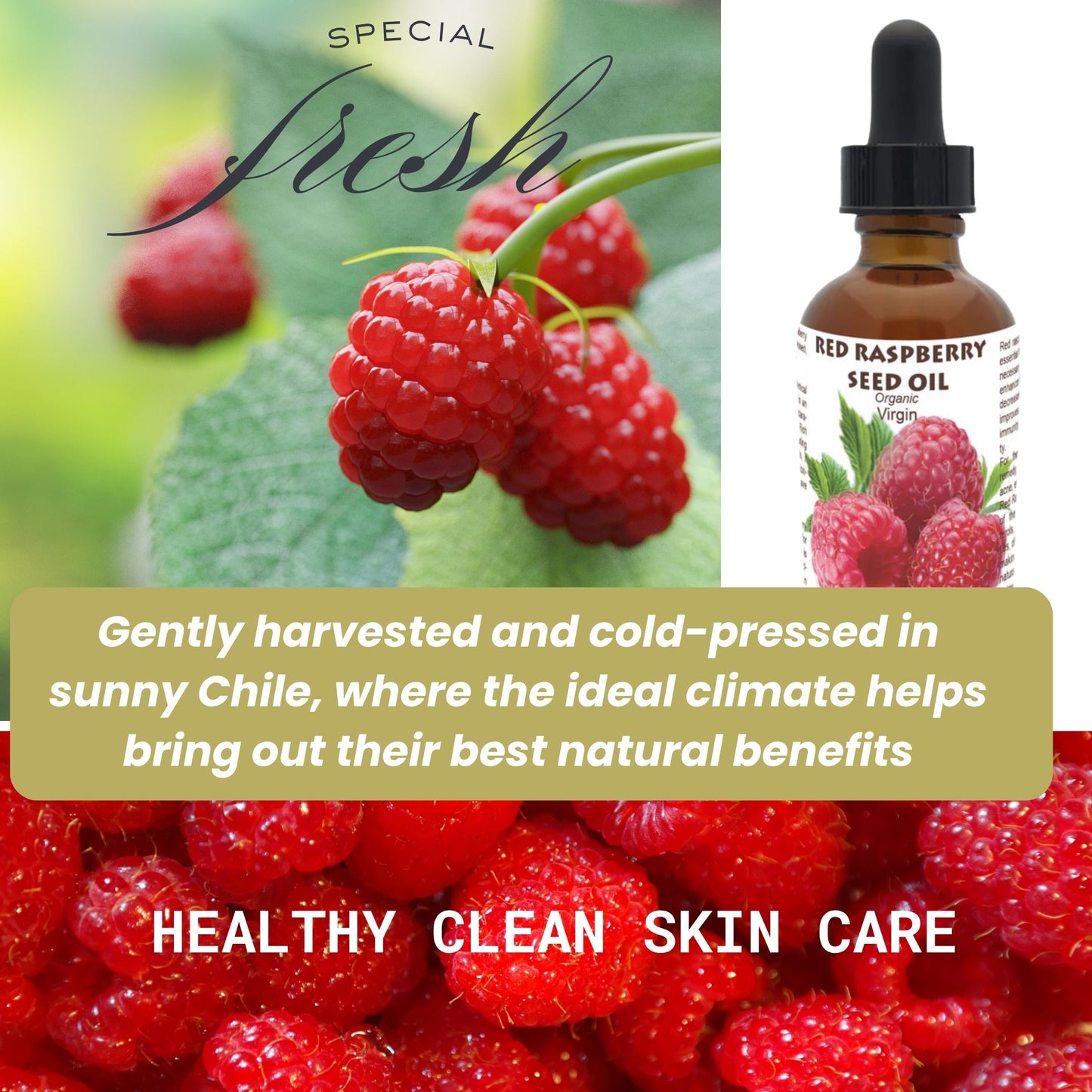 Red Raspberry Seed  Oil (Organic, cold pressed, unrefined) - Trending Products 