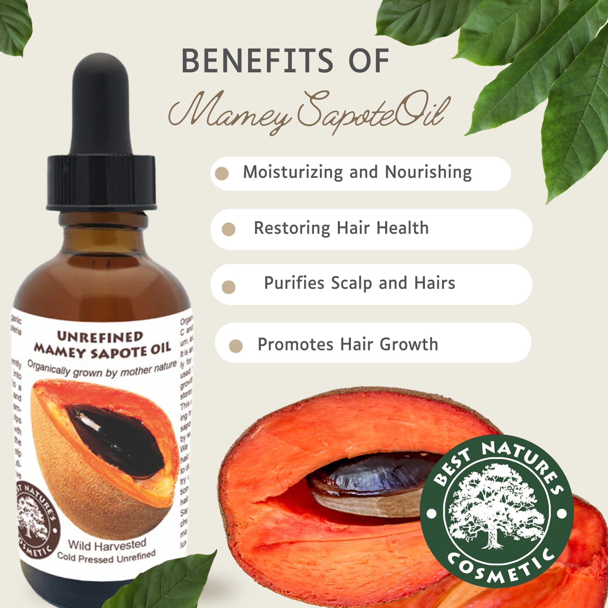 Mamey Sapote (Sapuyulo) Oil (organic, cold pressed, unrefined) - Trending Products 