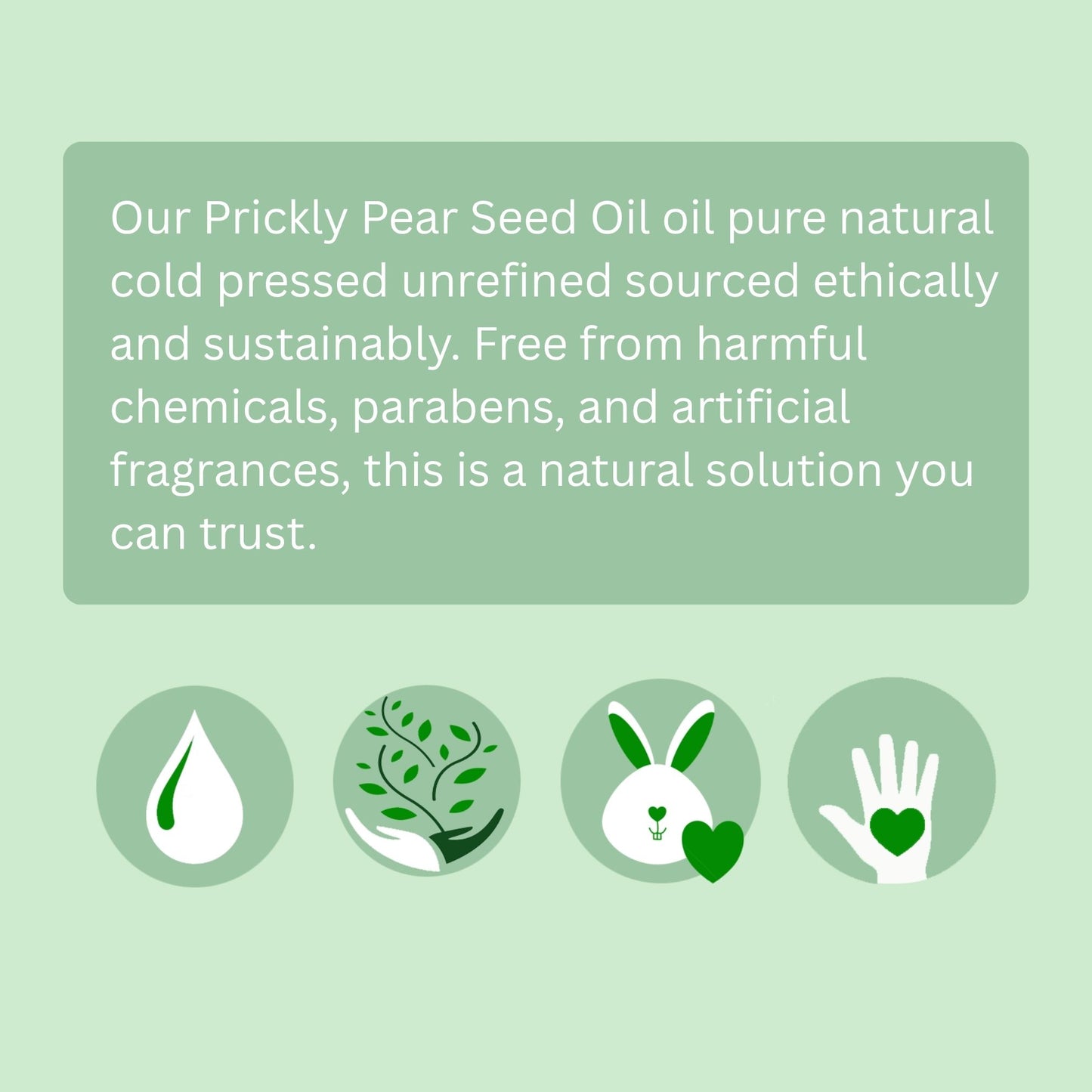Prickly Pear Seed Oil (Organic, cold pressed, unrefined) - Trending Products 