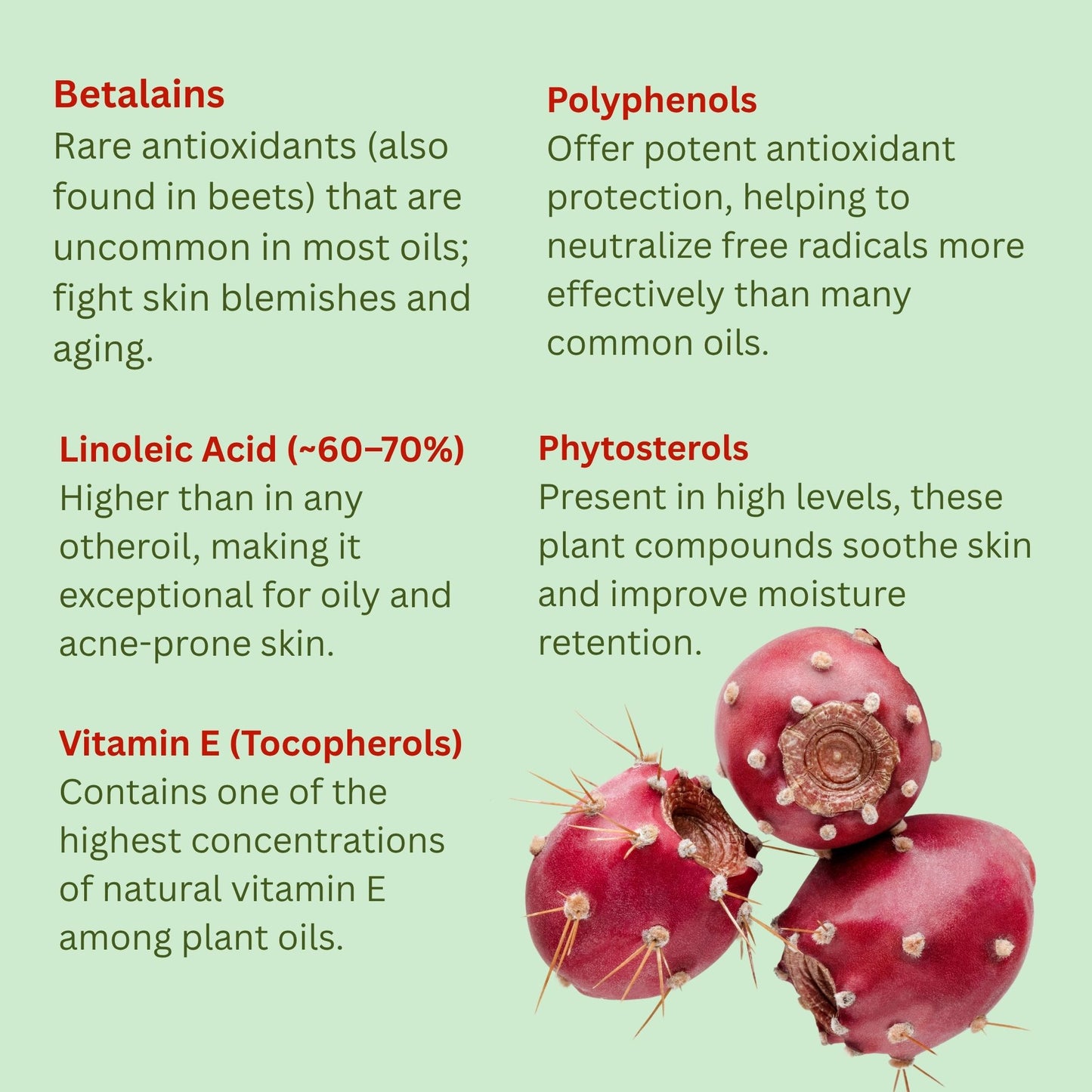 Prickly Pear Seed Oil (Organic, cold pressed, unrefined) - Trending Products 