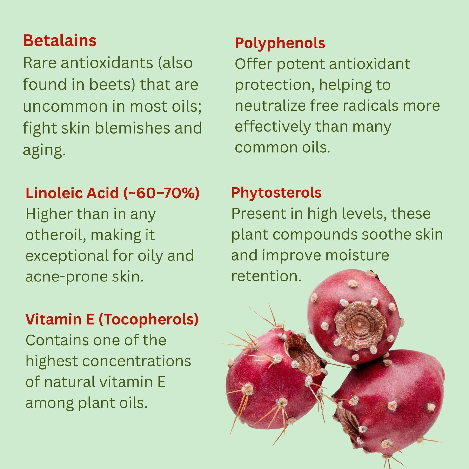 Prickly Pear Seed Oil (Organic, cold pressed, unrefined) - Trending Products 